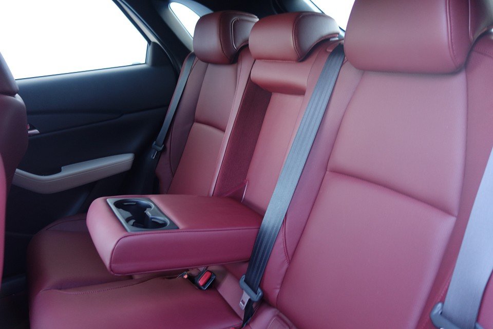 Fahrzeugabbildung Mazda CX-30 SKYACTIV-X 2.0 M Hybrid 100th Anniversary
