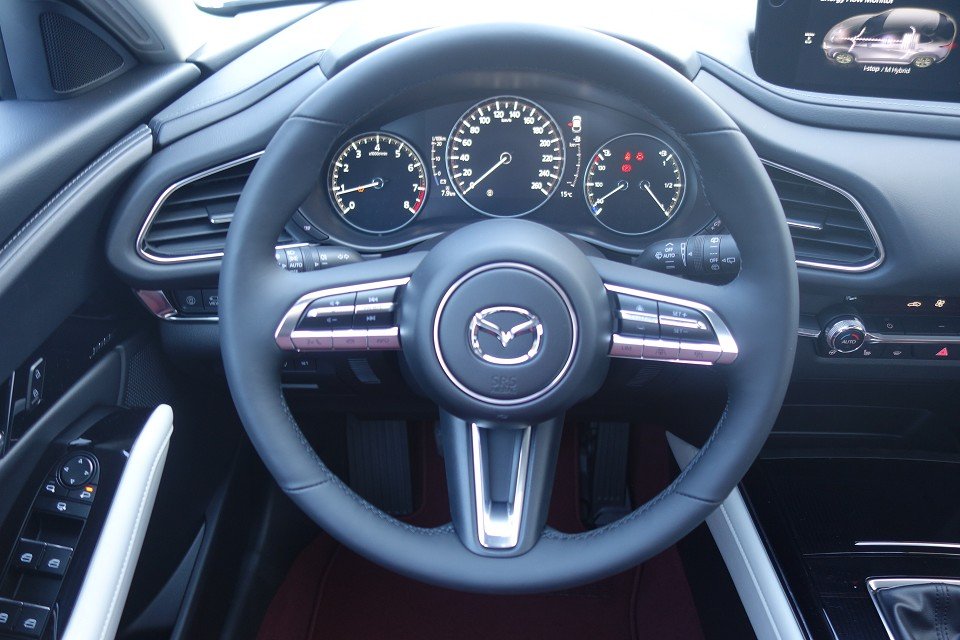 Fahrzeugabbildung Mazda CX-30 SKYACTIV-X 2.0 M Hybrid 100th Anniversary