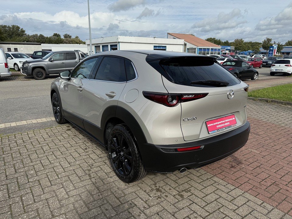 Fahrzeugabbildung Mazda CX-30 2.5L e-SKYACTIV G 140ps 6AT Homura