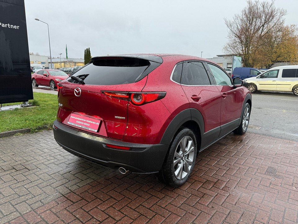 Fahrzeugabbildung Mazda CX-30 2.5L e-SKYACTIV G 140ps 6AT Exclusive-line