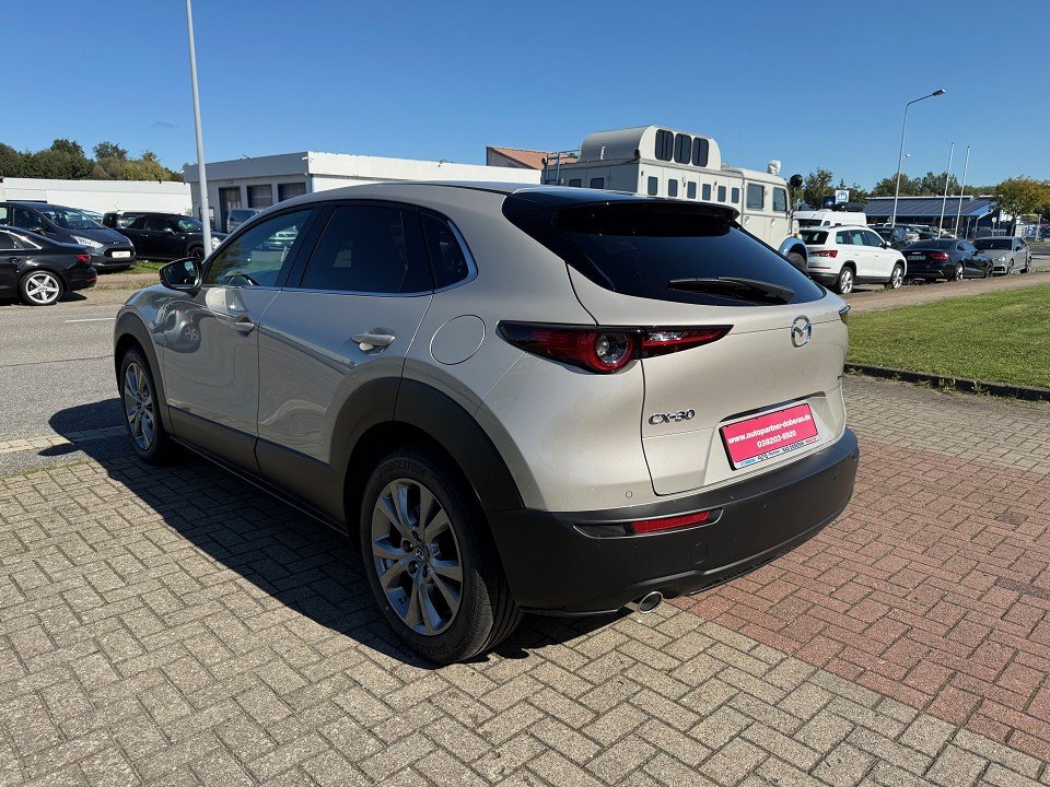 Fahrzeugabbildung Mazda CX-30 2.5L e-SKYACTIV G 140ps 6AT Exclusive-line