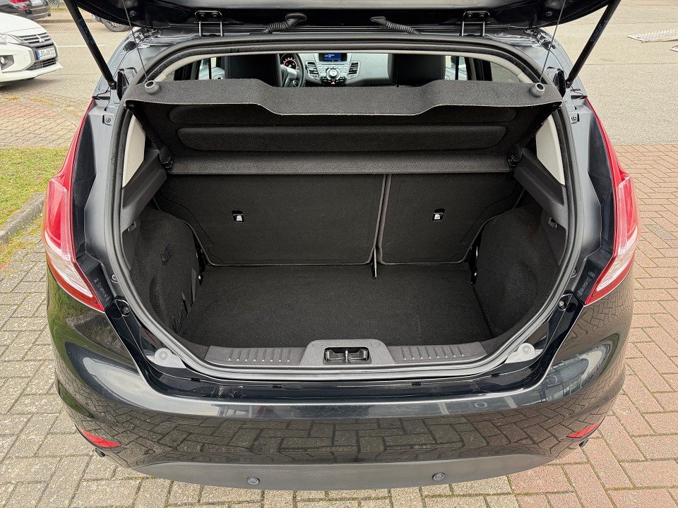 Fahrzeugabbildung Ford Fiesta 1.0 EcoBoost Titanium