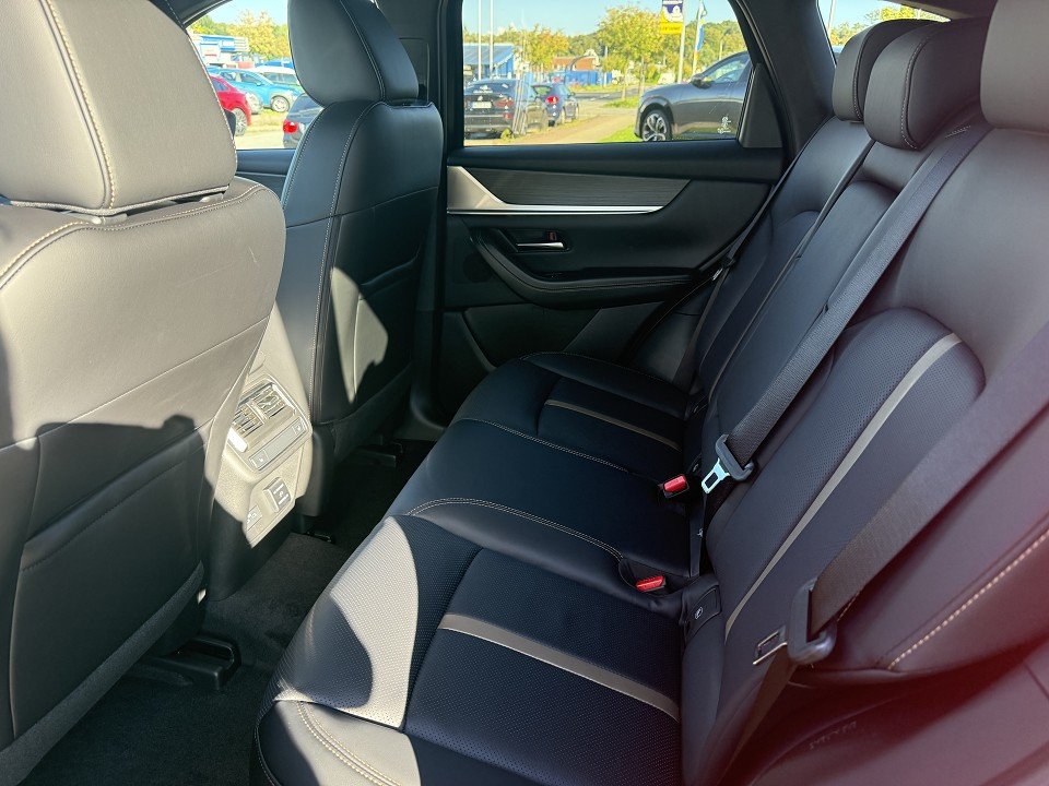 Fahrzeugabbildung Mazda CX-60 3.3L e-SKYACTIV D 254ps Homura COSO BLOP