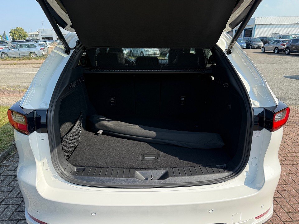 Fahrzeugabbildung Mazda CX-60 3.3L e-SKYACTIV D 254ps AWD Homura Plus